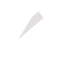 枣庄临时保镖服务